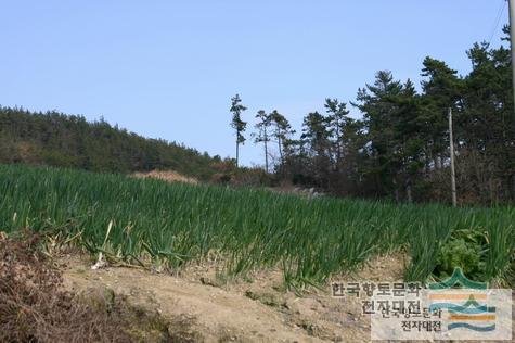 대표시청각 이미지