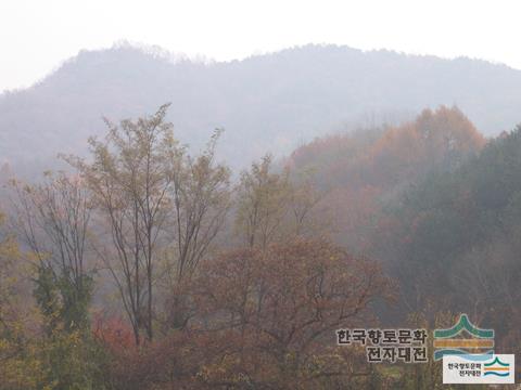 대표시청각 이미지