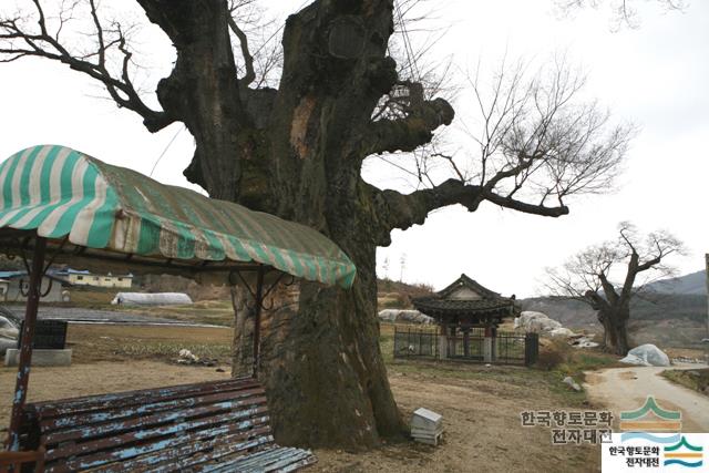 대표시청각 이미지