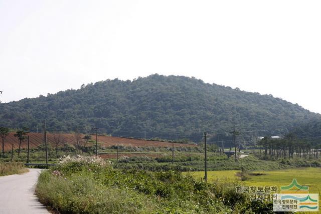 대표시청각 이미지