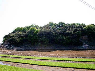 운산리 삼박골 조개더미 썸네일 이미지