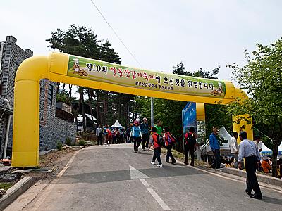 팔봉산 감자 축제 행사장 입구 썸네일 이미지