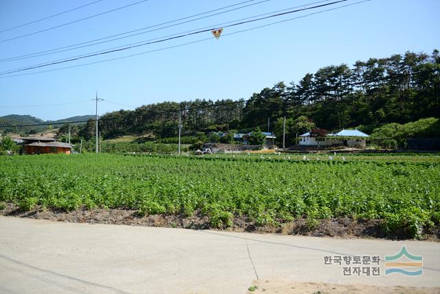 대표시청각 이미지