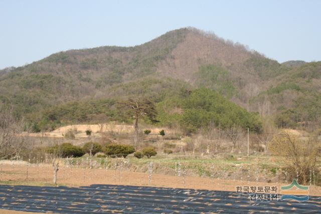 대표시청각 이미지