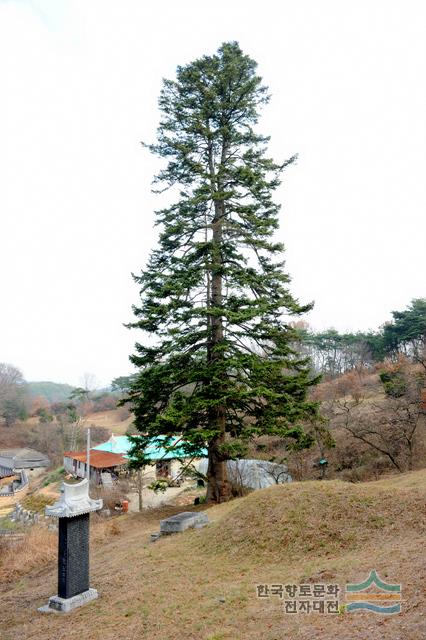 대표시청각 이미지